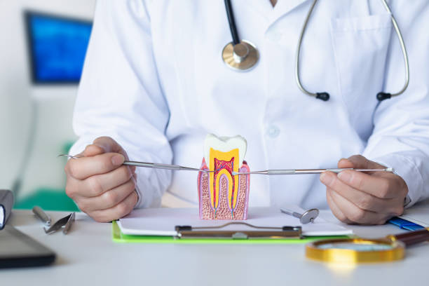 Best Emergency Dental Filling Replacement  in Au Sable, MI